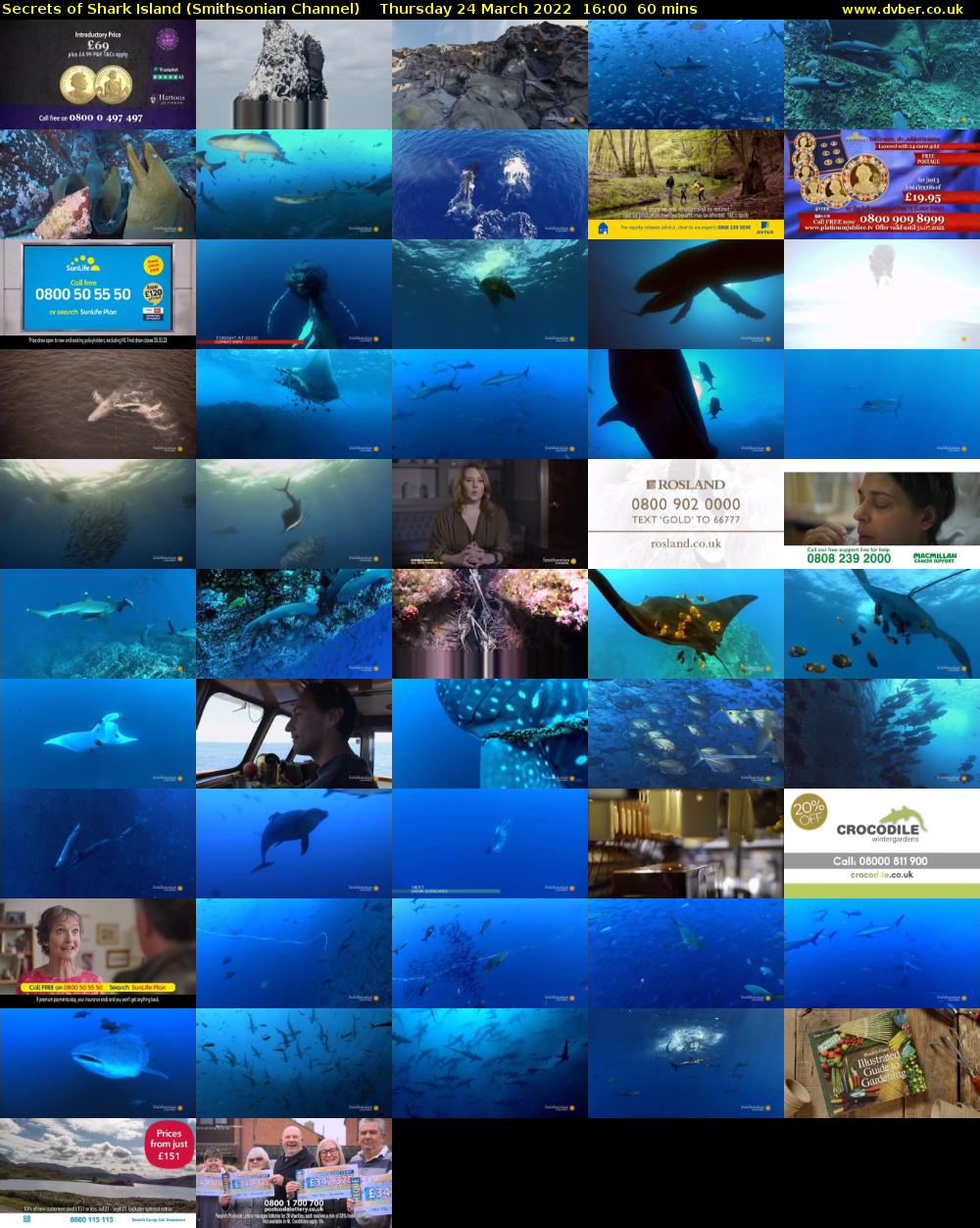 Secrets of Shark Island (Smithsonian Channel) Thursday 24 March 2022 16:00 - 17:00