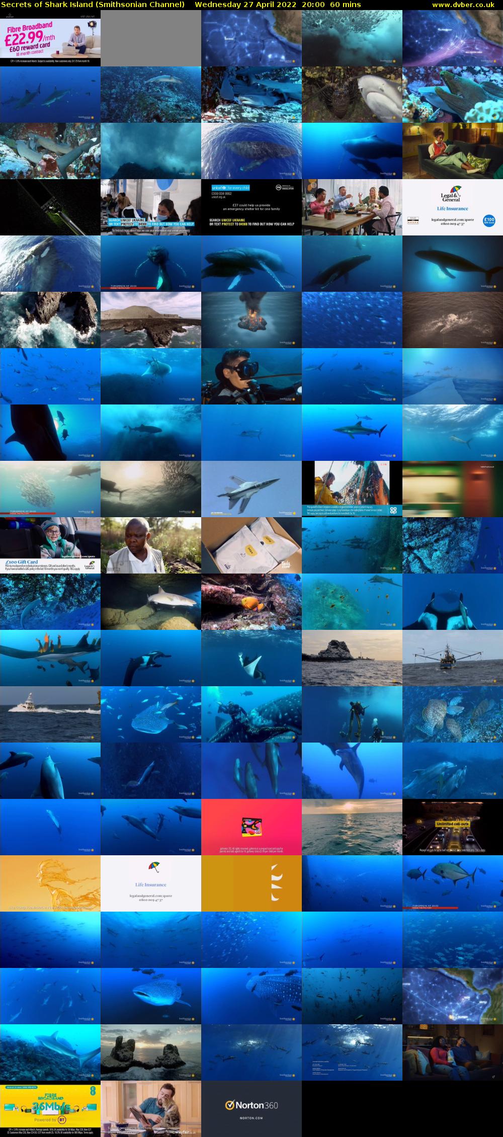 Secrets of Shark Island (Smithsonian Channel) Wednesday 27 April 2022 20:00 - 21:00