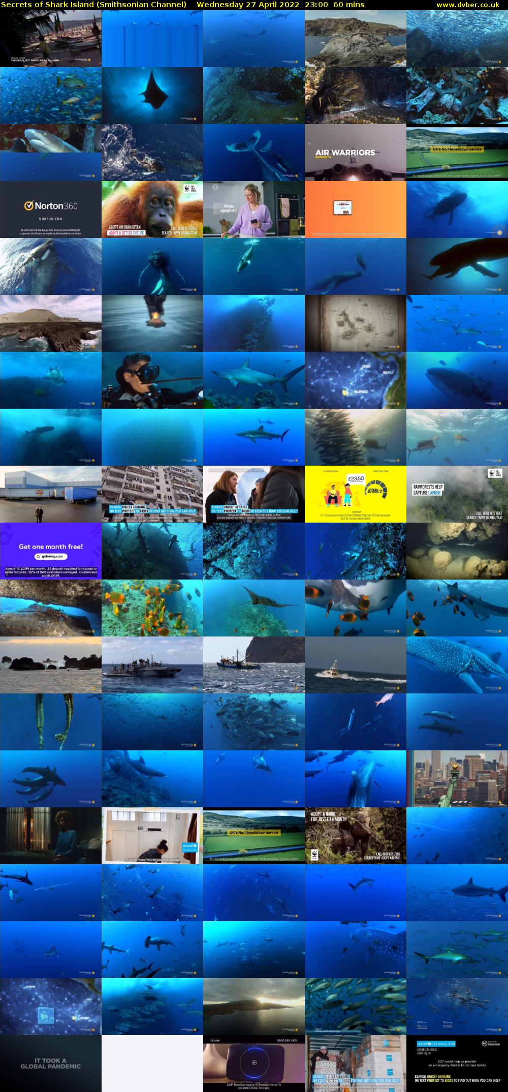 Secrets of Shark Island (Smithsonian Channel) Wednesday 27 April 2022 23:00 - 00:00