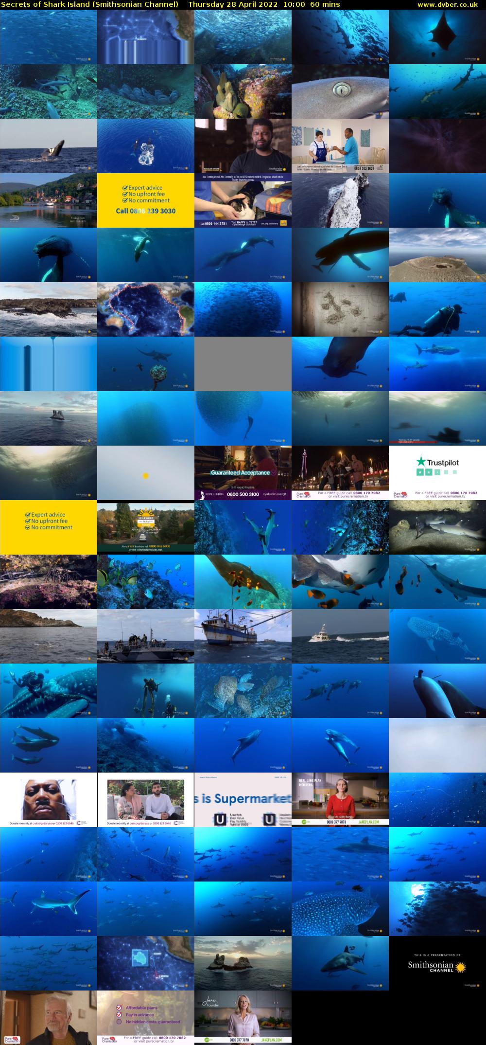 Secrets of Shark Island (Smithsonian Channel) Thursday 28 April 2022 10:00 - 11:00