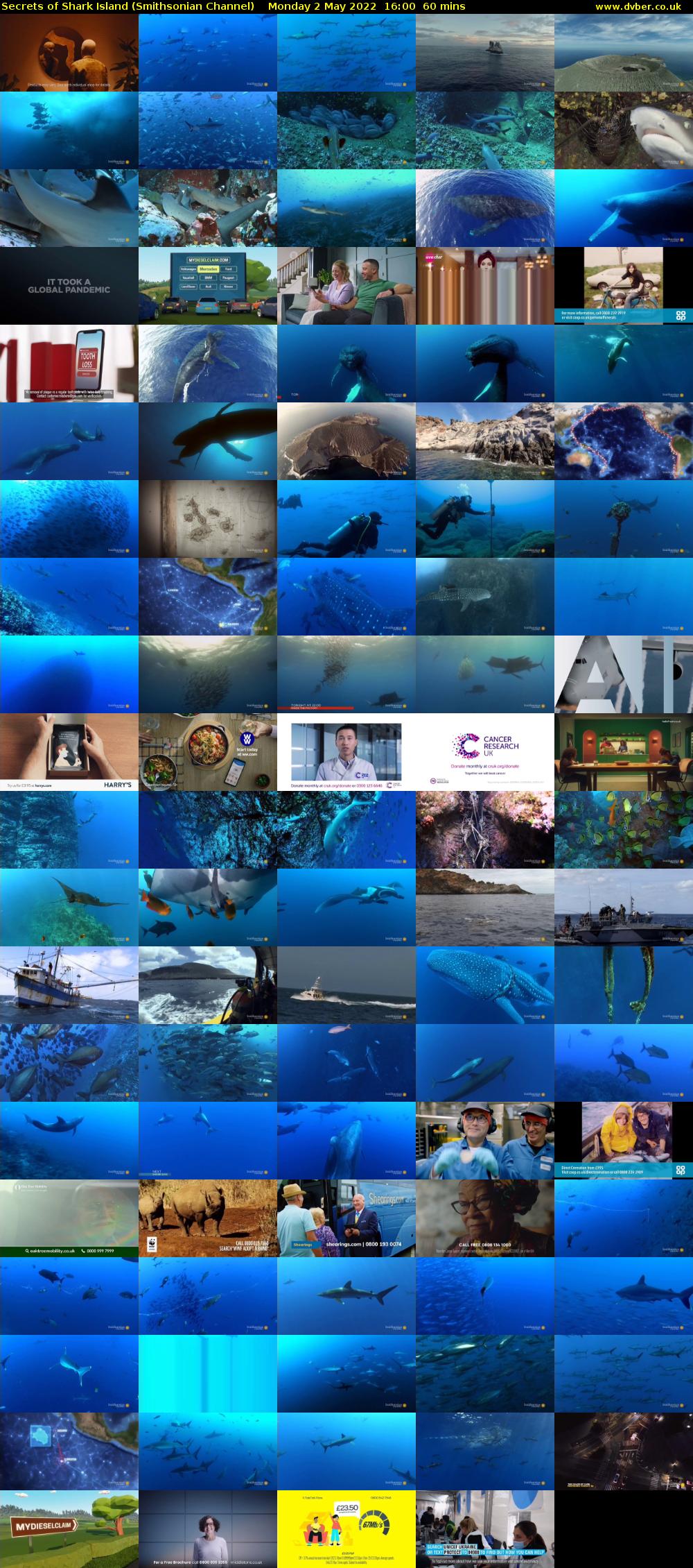 Secrets of Shark Island (Smithsonian Channel) Monday 2 May 2022 16:00 - 17:00