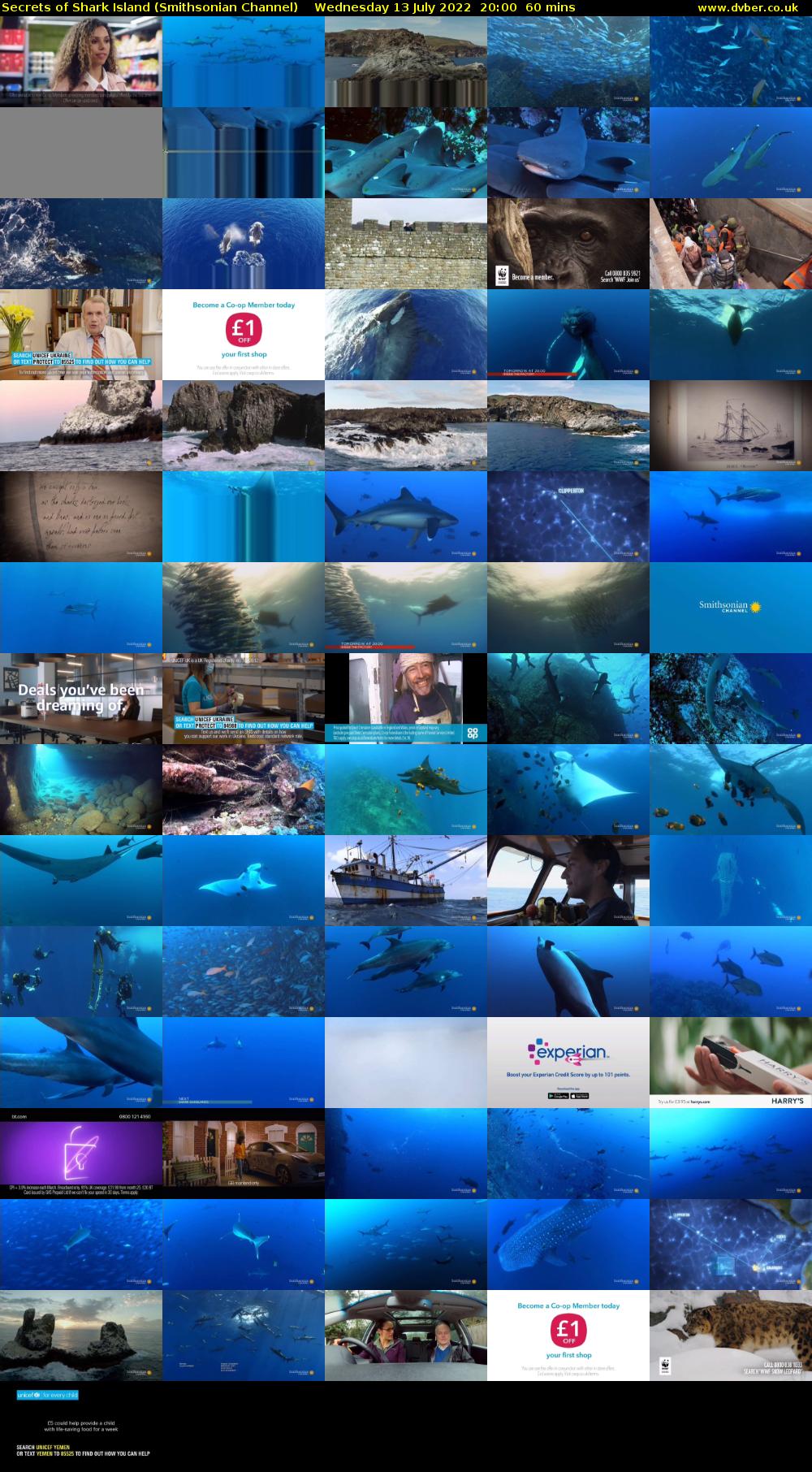 Secrets of Shark Island (Smithsonian Channel) Wednesday 13 July 2022 20:00 - 21:00