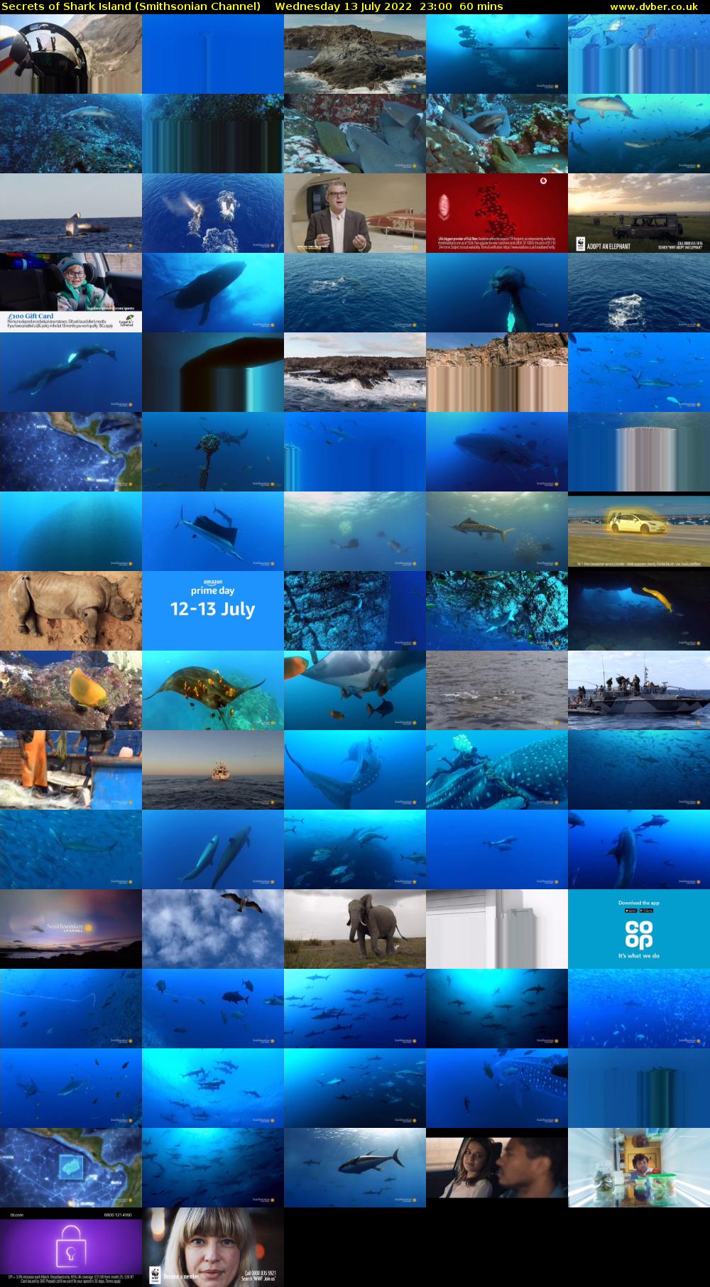 Secrets of Shark Island (Smithsonian Channel) Wednesday 13 July 2022 23:00 - 00:00