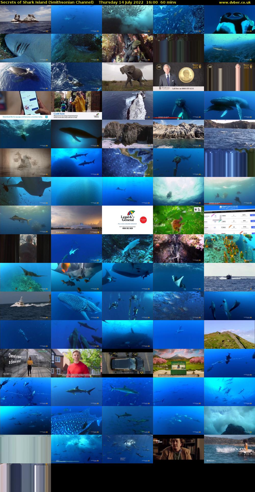 Secrets of Shark Island (Smithsonian Channel) Thursday 14 July 2022 16:00 - 17:00