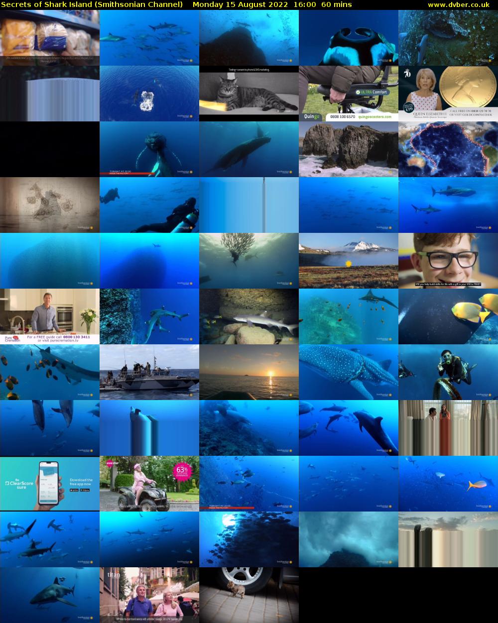 Secrets of Shark Island (Smithsonian Channel) Monday 15 August 2022 16:00 - 17:00