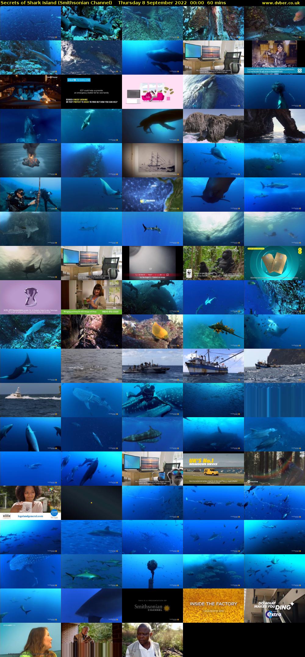 Secrets of Shark Island (Smithsonian Channel) Thursday 8 September 2022 00:00 - 01:00
