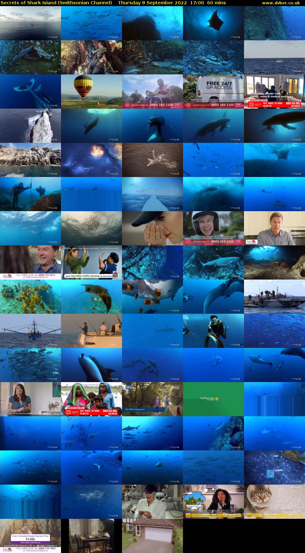 Secrets of Shark Island (Smithsonian Channel) Thursday 8 September 2022 17:00 - 18:00