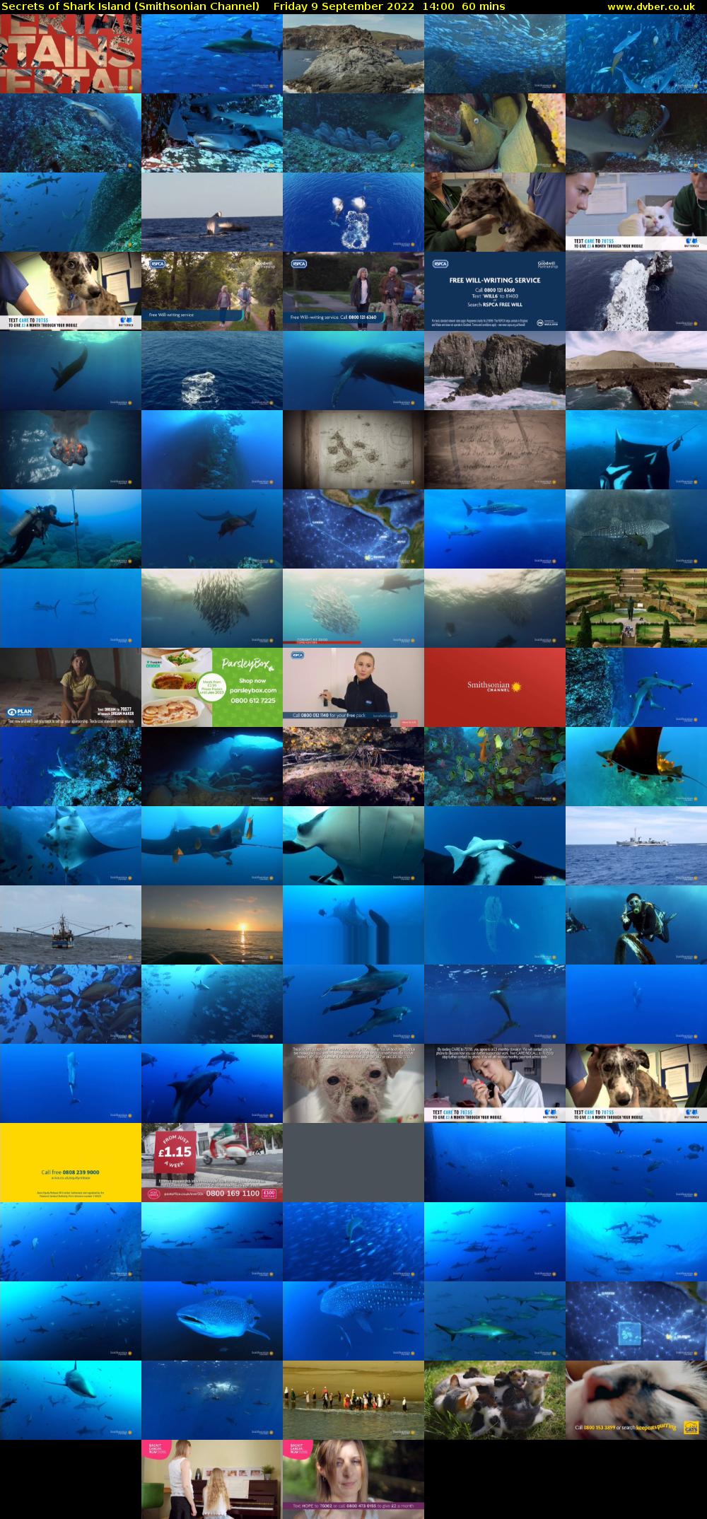 Secrets of Shark Island (Smithsonian Channel) Friday 9 September 2022 14:00 - 15:00