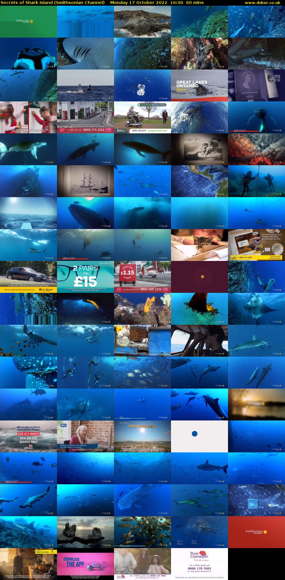Secrets of Shark Island (Smithsonian Channel) Monday 17 October 2022 16:00 - 17:00