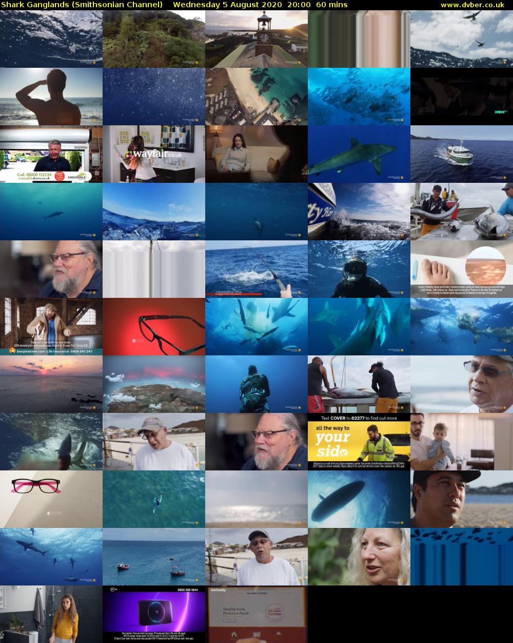 Shark Ganglands (Smithsonian Channel) Wednesday 5 August 2020 20:00 - 21:00