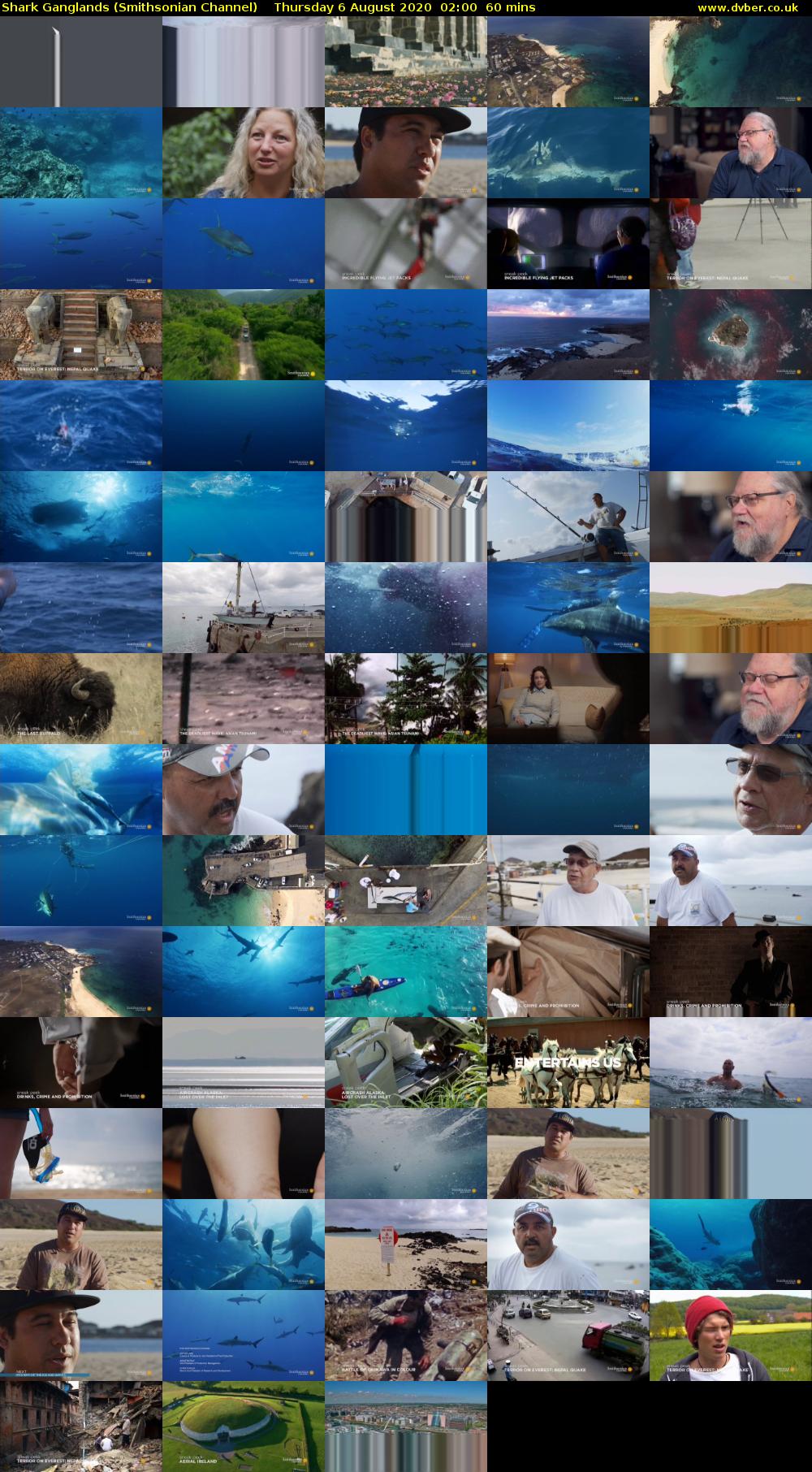 Shark Ganglands (Smithsonian Channel) Thursday 6 August 2020 02:00 - 03:00