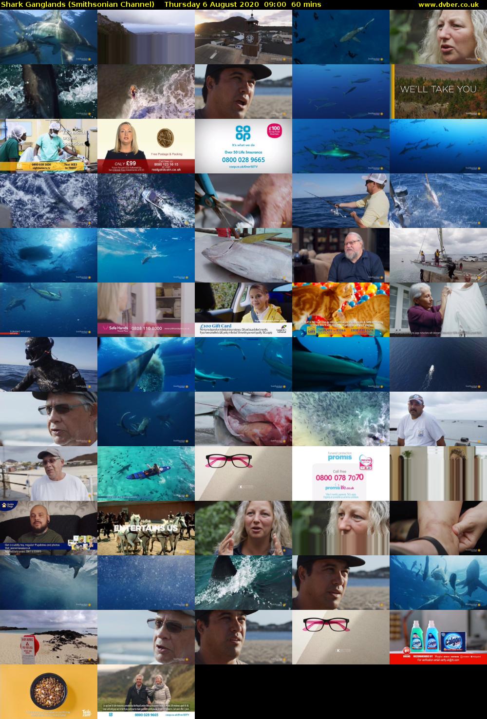 Shark Ganglands (Smithsonian Channel) Thursday 6 August 2020 09:00 - 10:00
