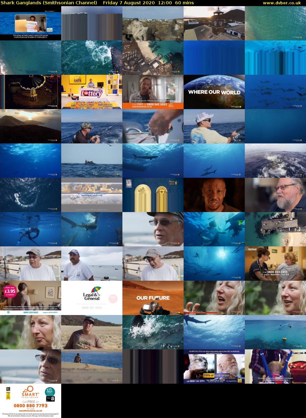Shark Ganglands (Smithsonian Channel) Friday 7 August 2020 12:00 - 13:00