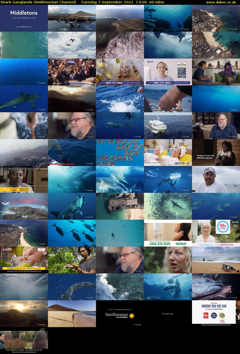 Shark Ganglands (Smithsonian Channel) Tuesday 7 September 2021 14:00 - 15:00