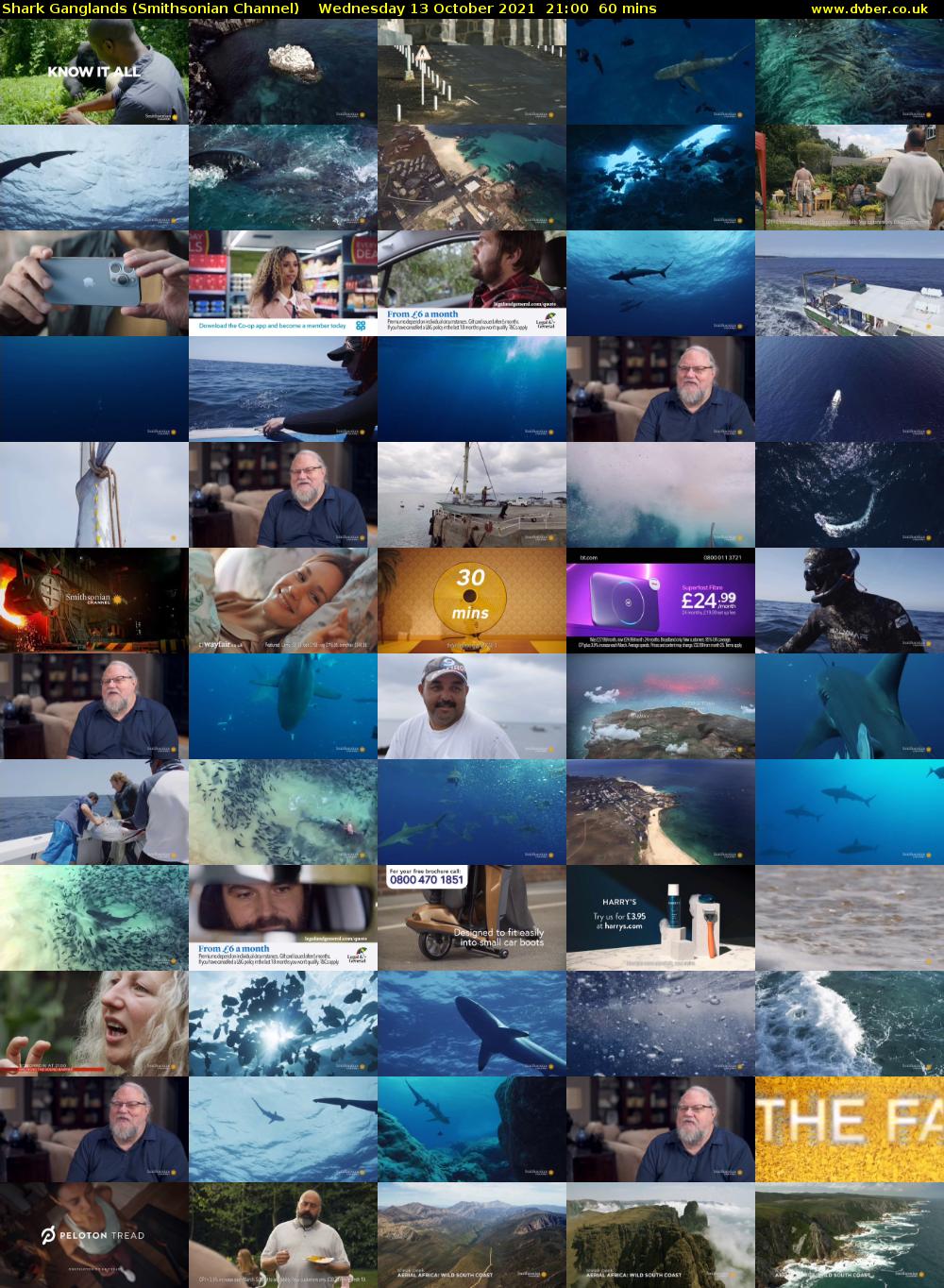 Shark Ganglands (Smithsonian Channel) Wednesday 13 October 2021 21:00 - 22:00