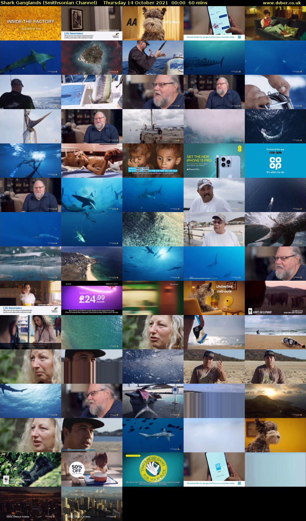 Shark Ganglands (Smithsonian Channel) Thursday 14 October 2021 00:00 - 01:00