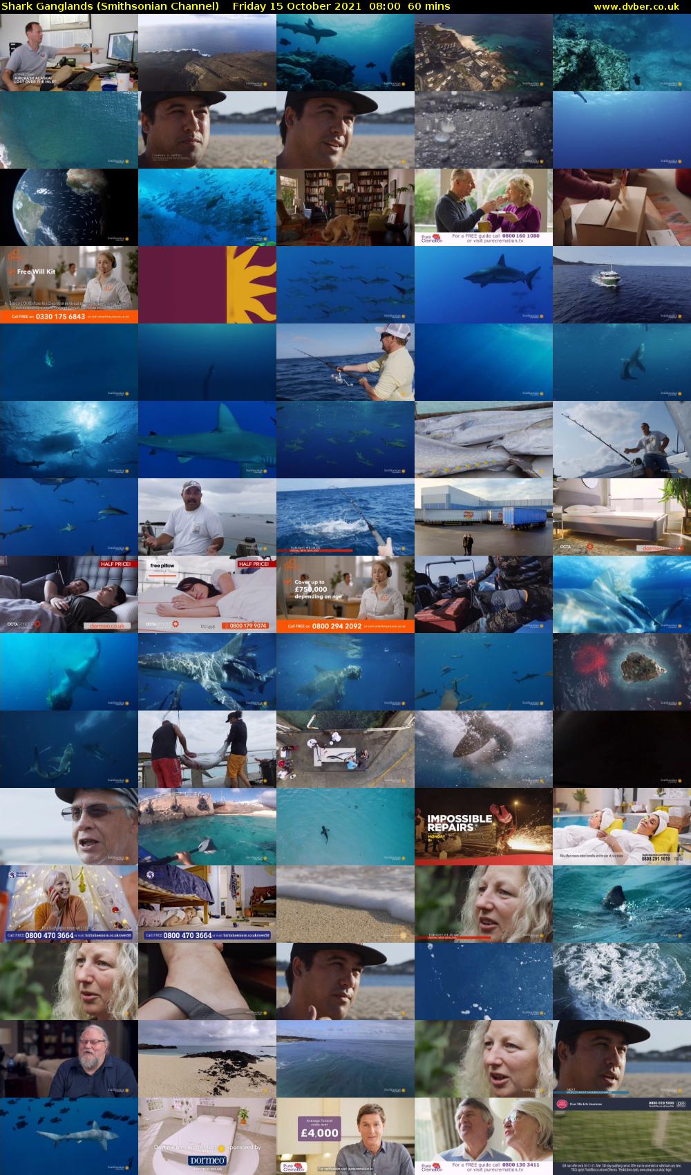 Shark Ganglands (Smithsonian Channel) Friday 15 October 2021 08:00 - 09:00