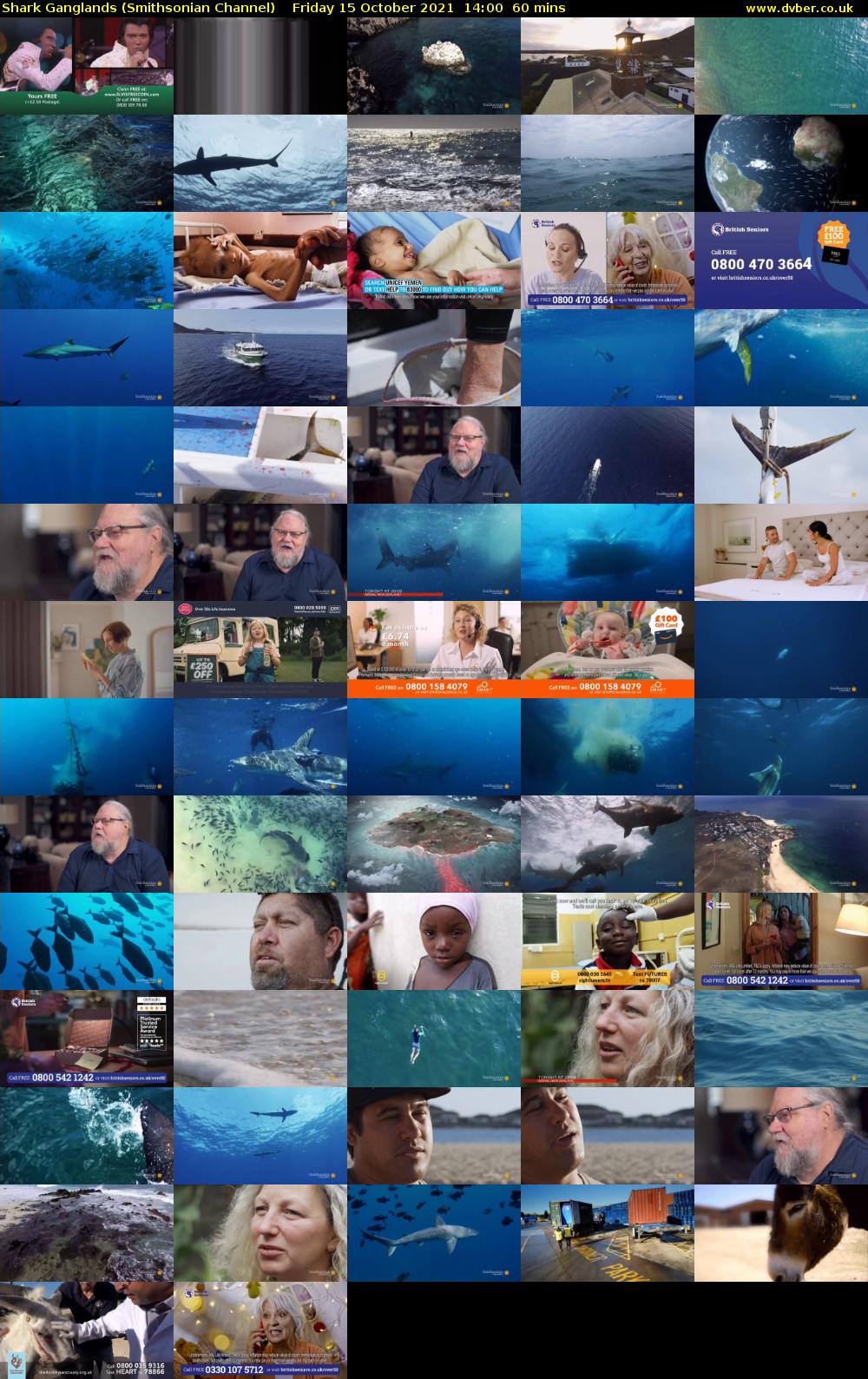 Shark Ganglands (Smithsonian Channel) Friday 15 October 2021 14:00 - 15:00