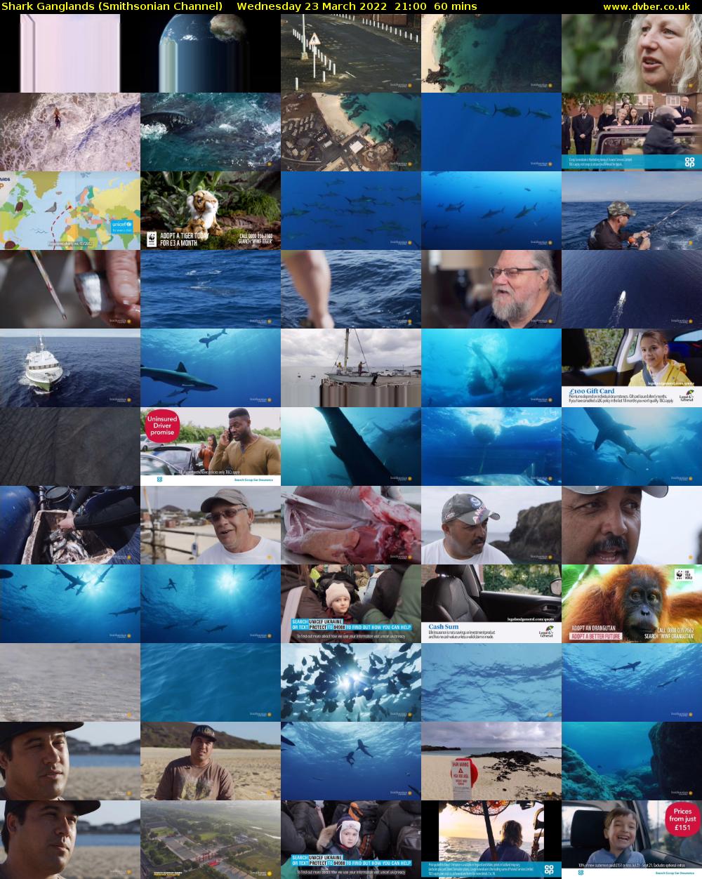 Shark Ganglands (Smithsonian Channel) Wednesday 23 March 2022 21:00 - 22:00