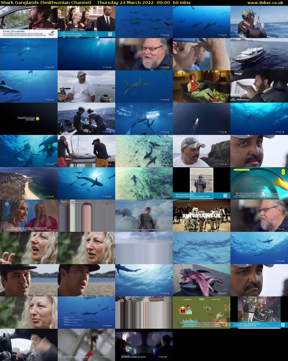 Shark Ganglands (Smithsonian Channel) Thursday 24 March 2022 00:00 - 01:00