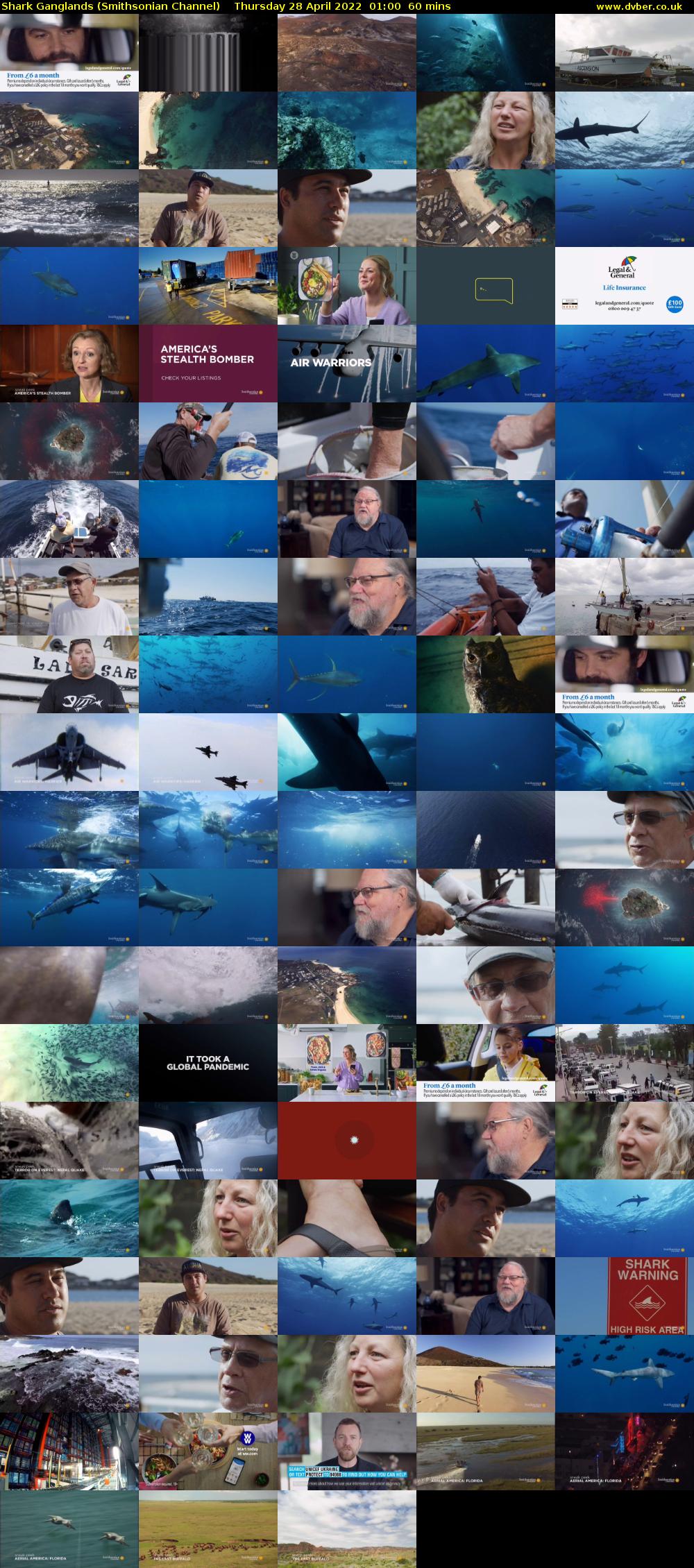 Shark Ganglands (Smithsonian Channel) Thursday 28 April 2022 01:00 - 02:00