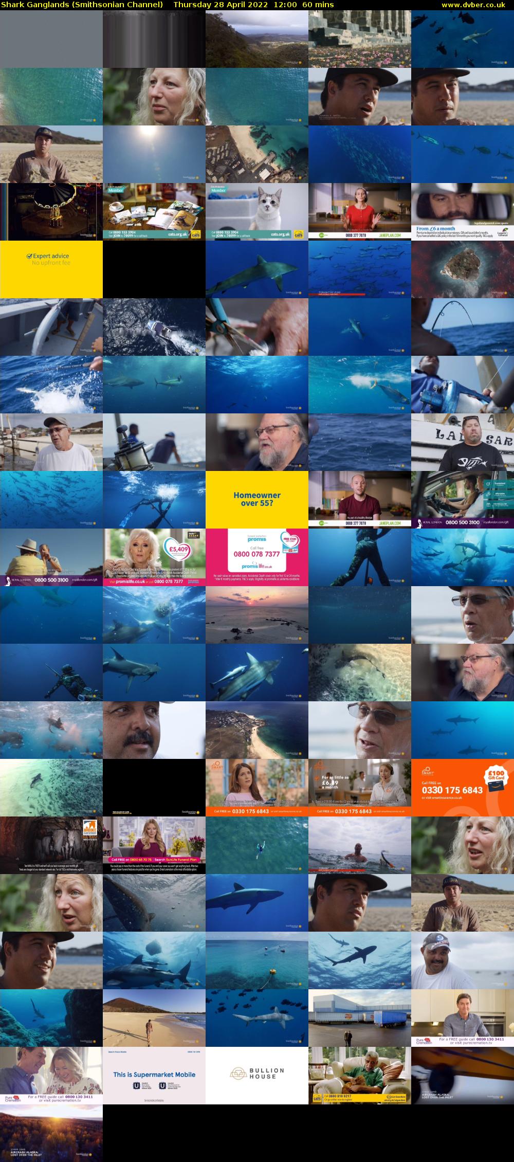 Shark Ganglands (Smithsonian Channel) Thursday 28 April 2022 12:00 - 13:00
