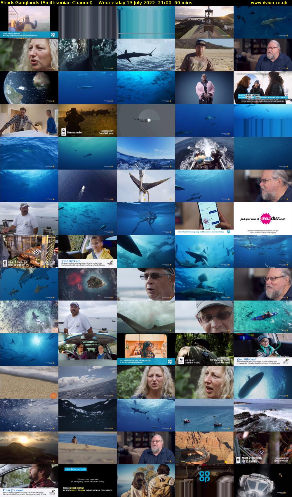 Shark Ganglands (Smithsonian Channel) Wednesday 13 July 2022 21:00 - 22:00