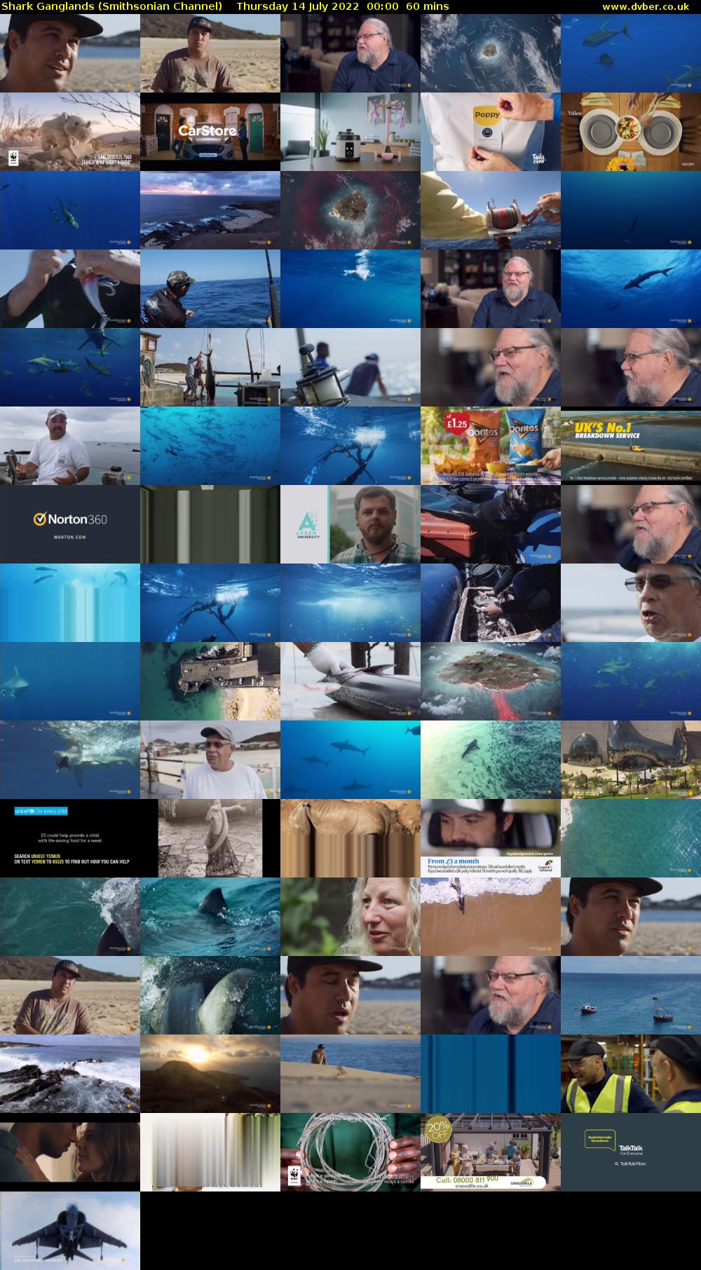 Shark Ganglands (Smithsonian Channel) Thursday 14 July 2022 00:00 - 01:00