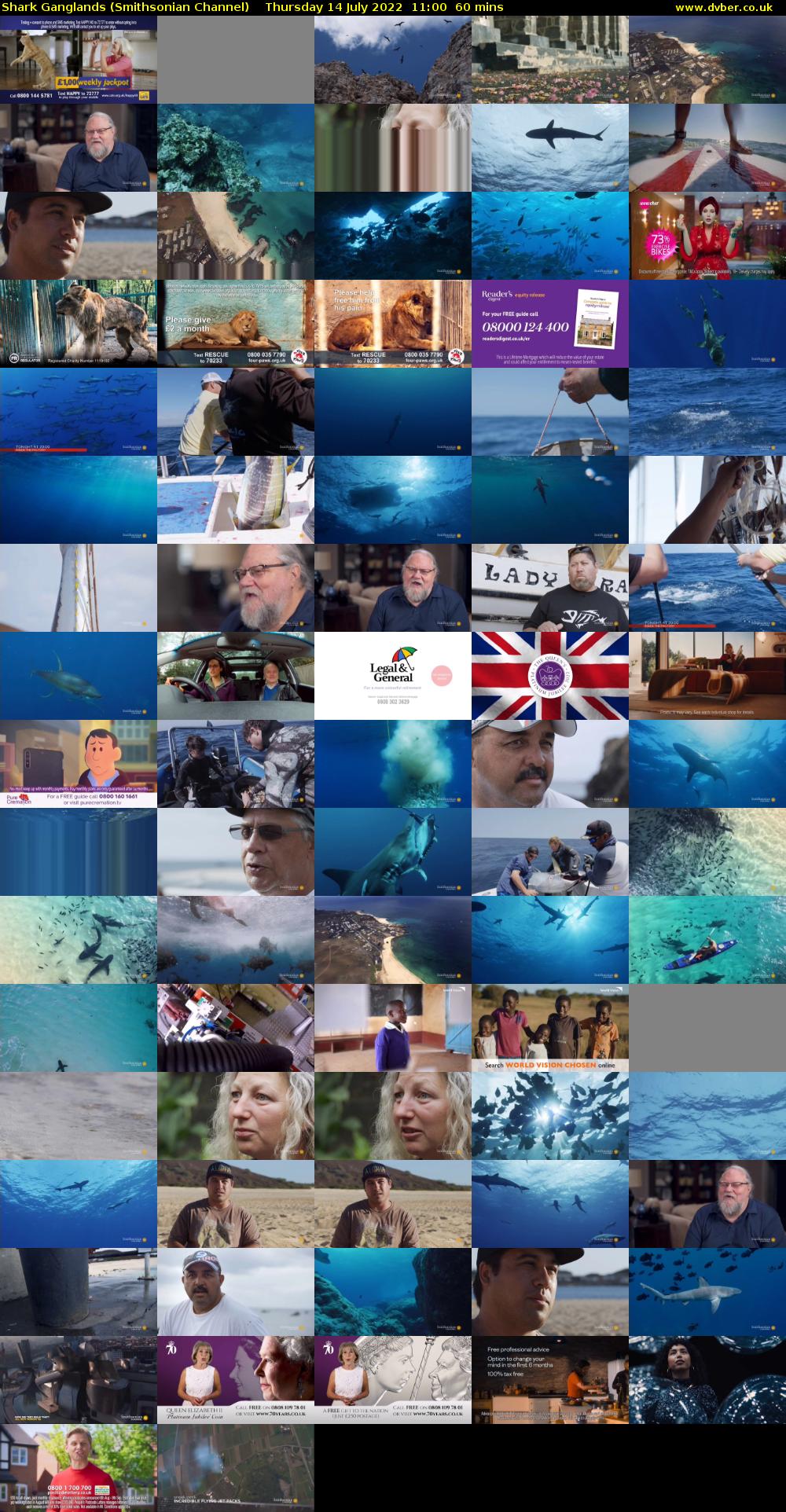 Shark Ganglands (Smithsonian Channel) Thursday 14 July 2022 11:00 - 12:00
