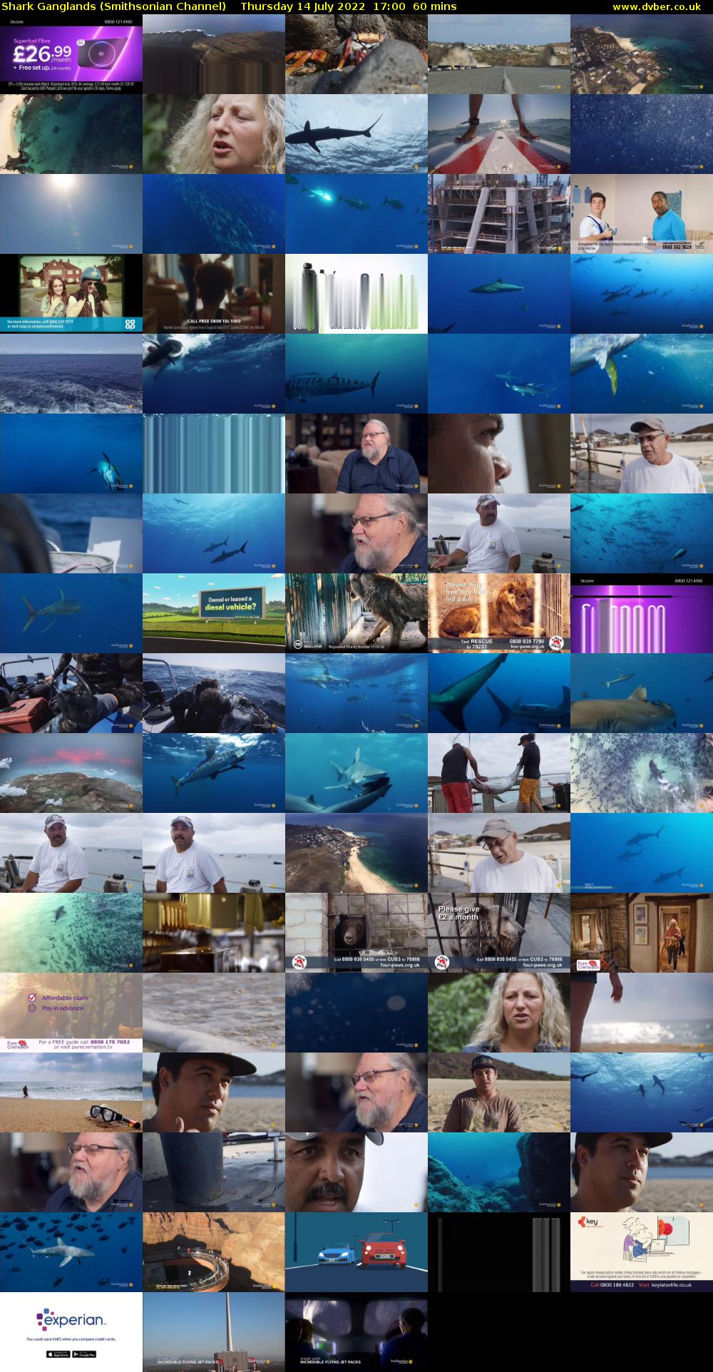 Shark Ganglands (Smithsonian Channel) Thursday 14 July 2022 17:00 - 18:00