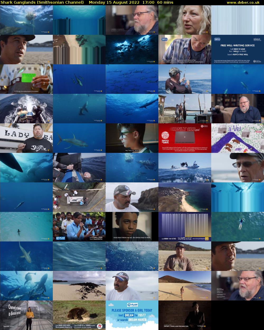 Shark Ganglands (Smithsonian Channel) Monday 15 August 2022 17:00 - 18:00