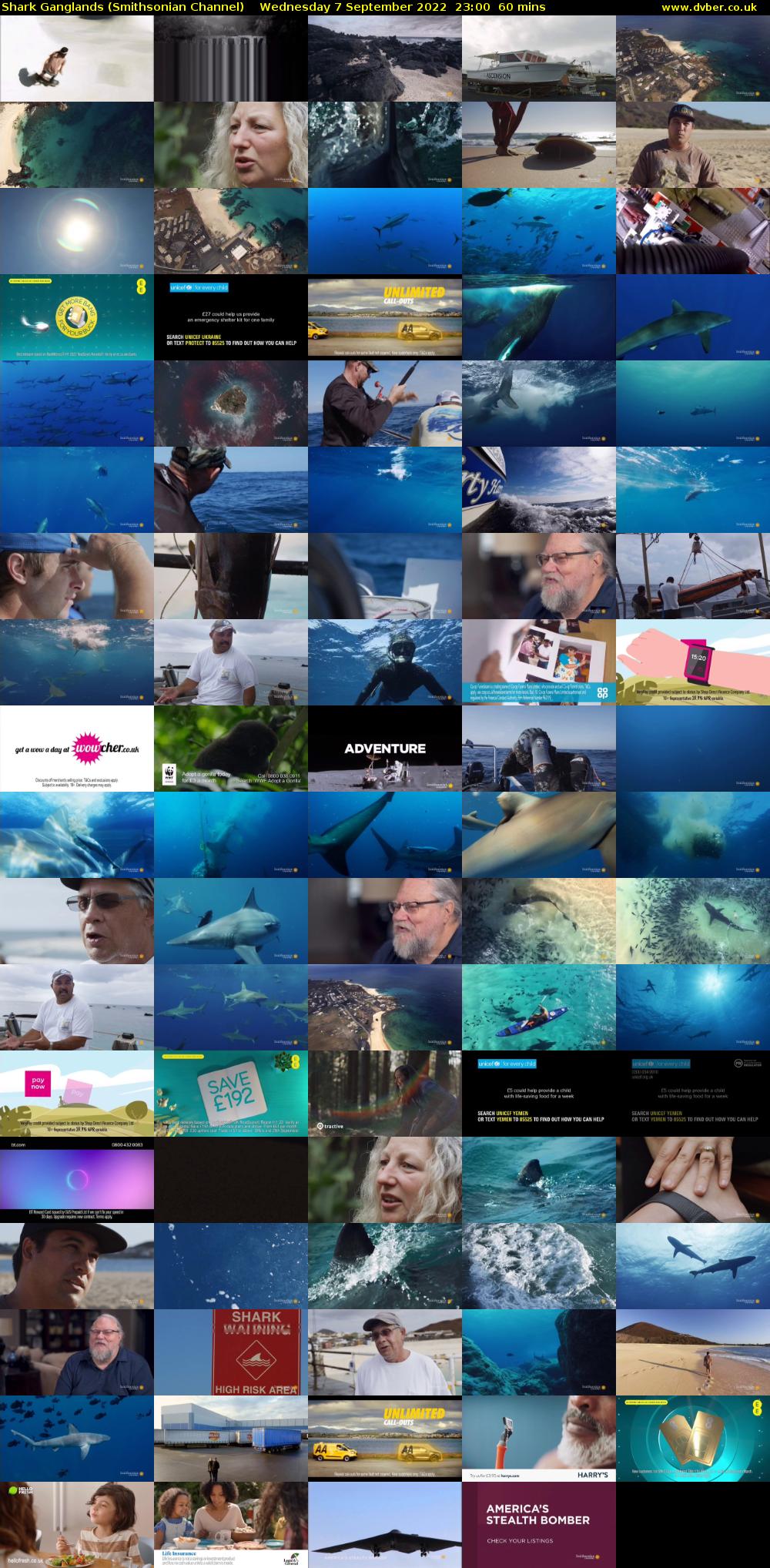 Shark Ganglands (Smithsonian Channel) Wednesday 7 September 2022 23:00 - 00:00