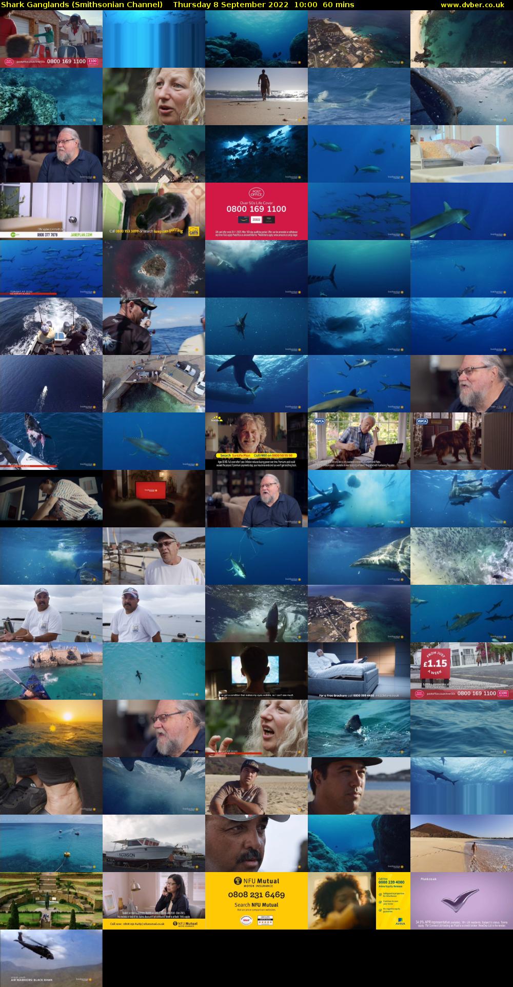 Shark Ganglands (Smithsonian Channel) Thursday 8 September 2022 10:00 - 11:00