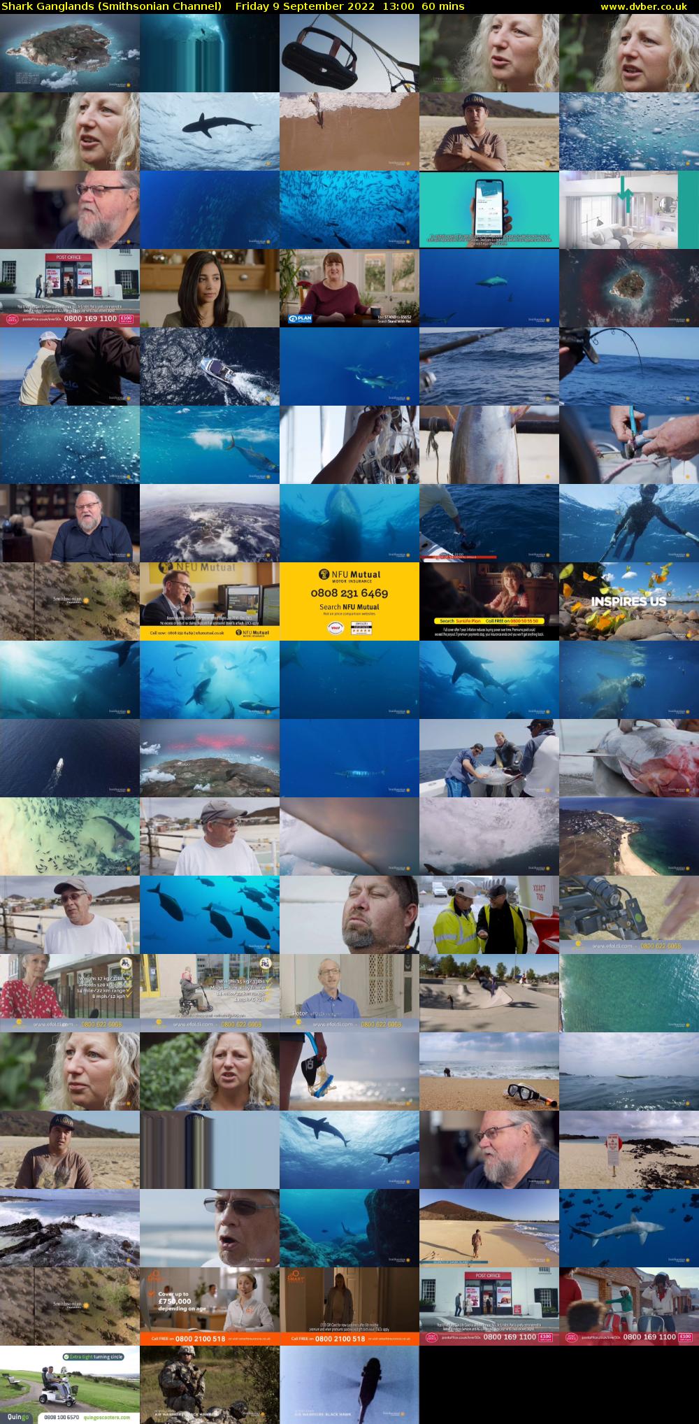 Shark Ganglands (Smithsonian Channel) Friday 9 September 2022 13:00 - 14:00