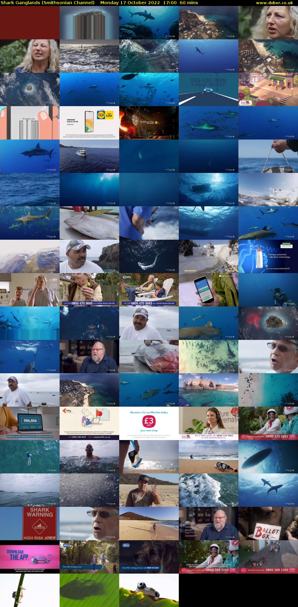 Shark Ganglands (Smithsonian Channel) Monday 17 October 2022 17:00 - 18:00