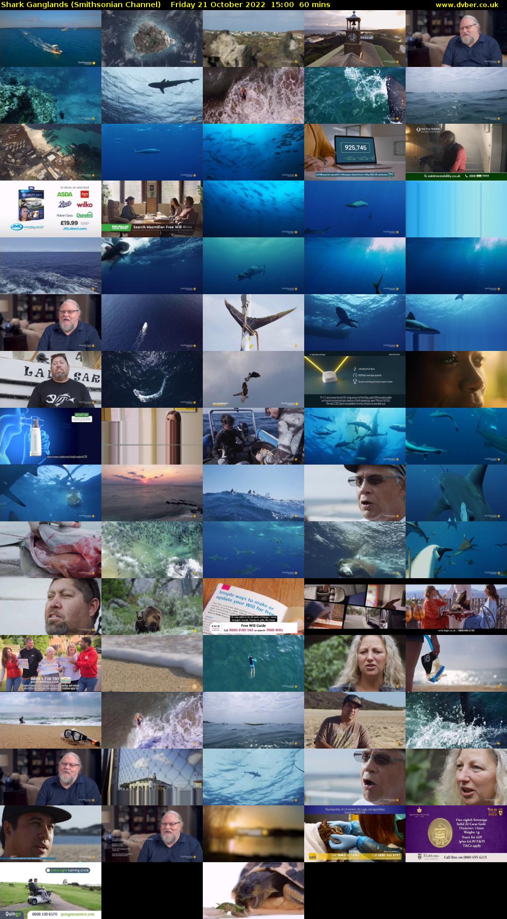 Shark Ganglands (Smithsonian Channel) Friday 21 October 2022 15:00 - 16:00