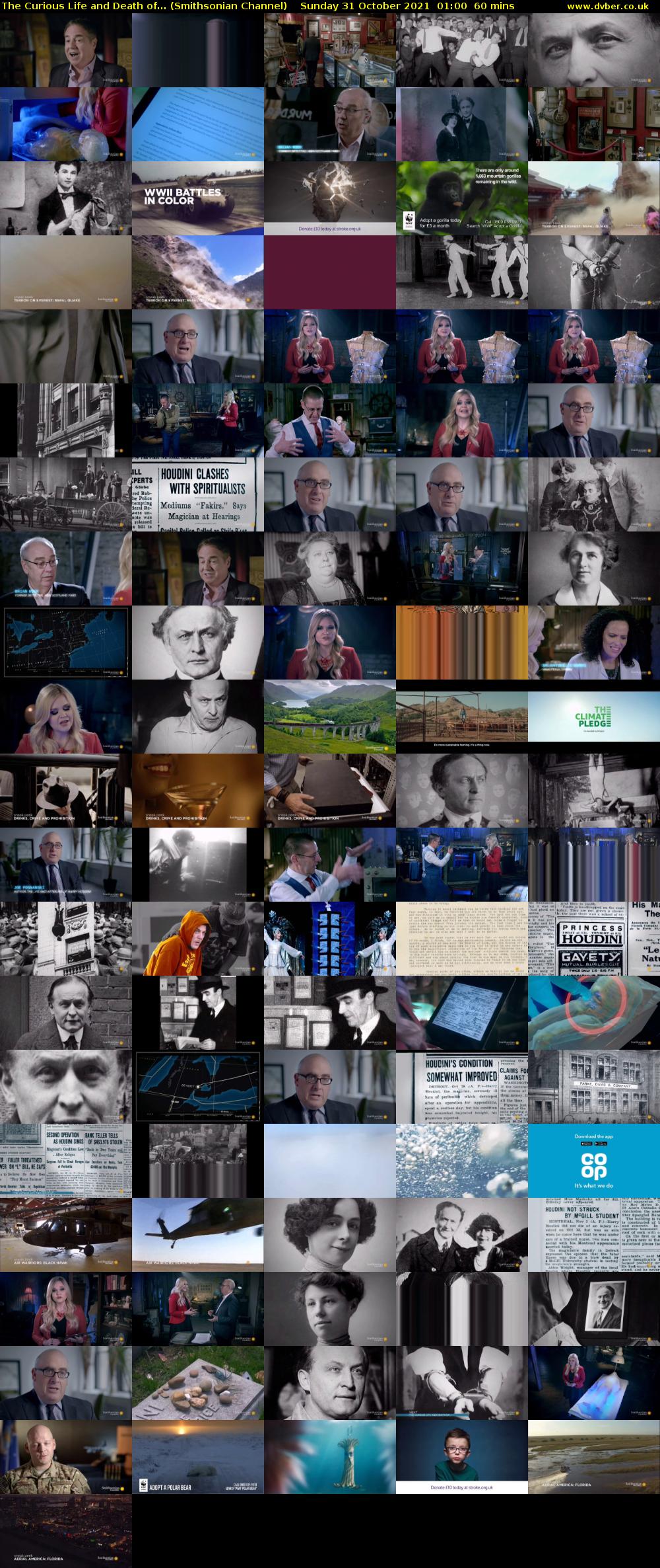 The Curious Life and Death of... (Smithsonian Channel) Sunday 31 October 2021 01:00 - 02:00