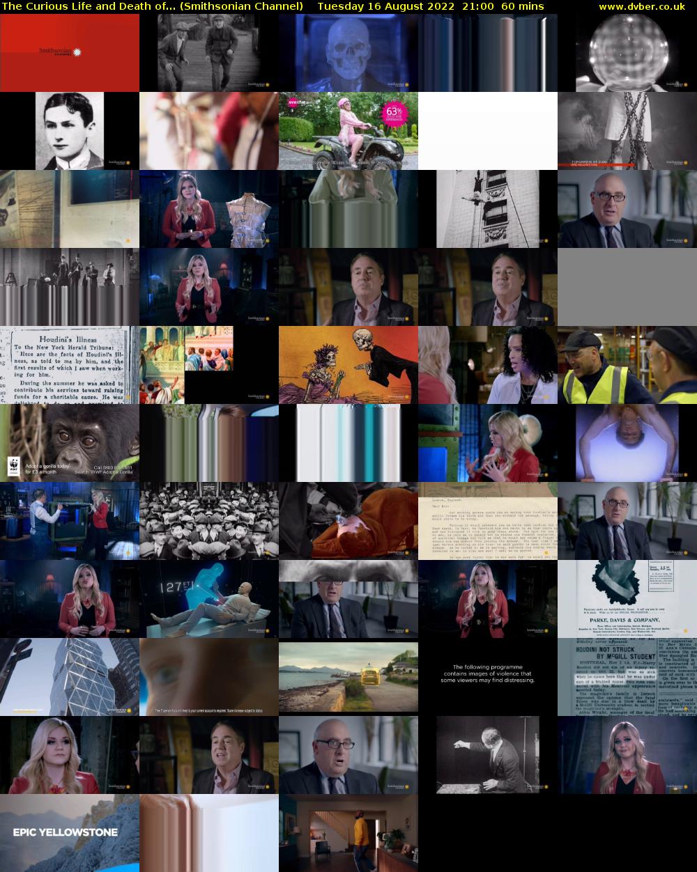 The Curious Life and Death of... (Smithsonian Channel) Tuesday 16 August 2022 21:00 - 22:00