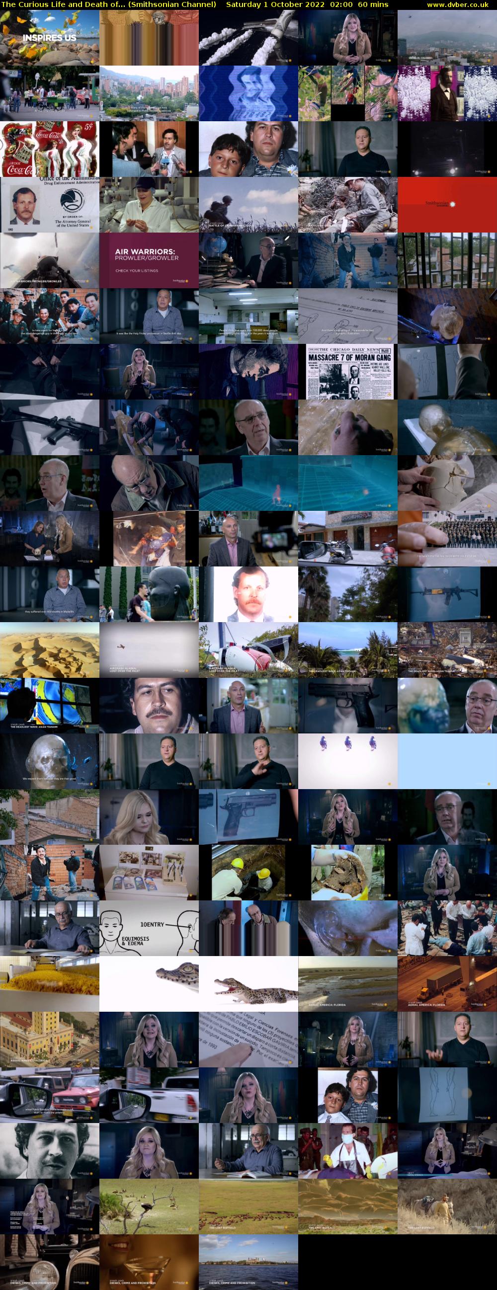 The Curious Life and Death of... (Smithsonian Channel) Saturday 1 October 2022 02:00 - 03:00