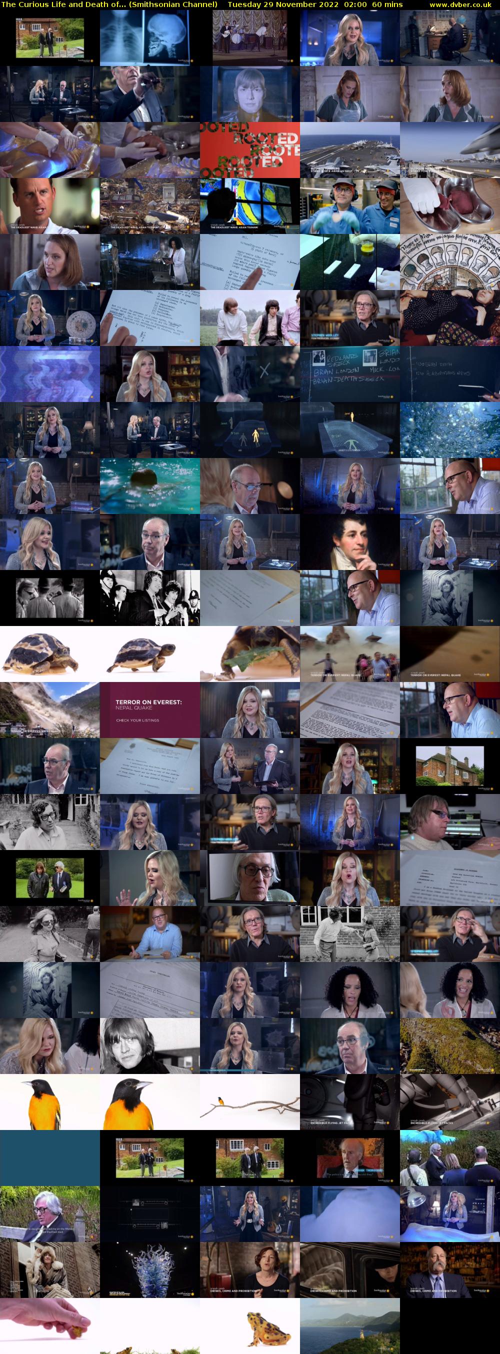 The Curious Life and Death of... (Smithsonian Channel) Tuesday 29 November 2022 02:00 - 03:00