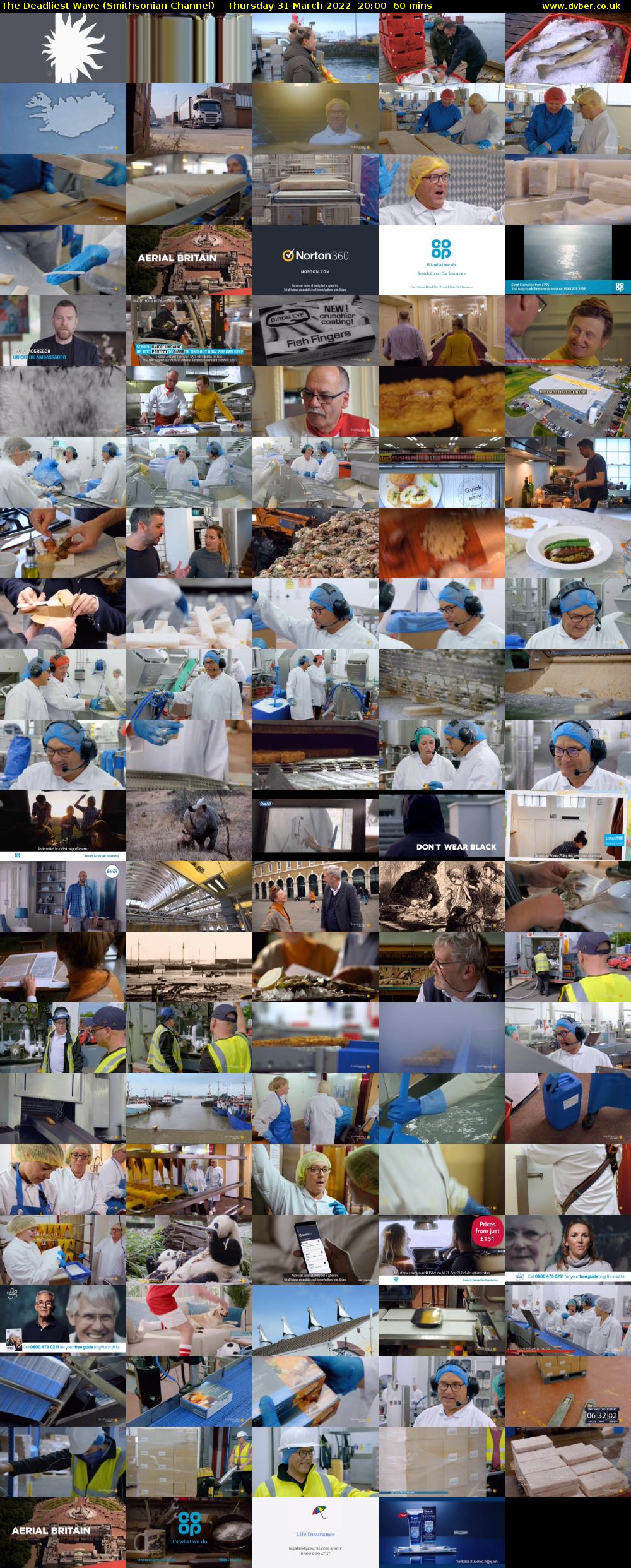 The Deadliest Wave (Smithsonian Channel) Thursday 31 March 2022 20:00 - 21:00