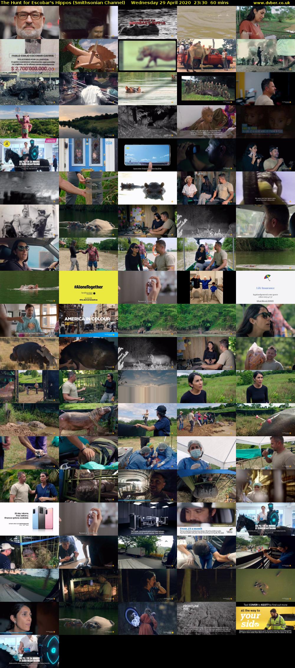 The Hunt for Escobar's Hippos (Smithsonian Channel) Wednesday 29 April 2020 23:30 - 00:30