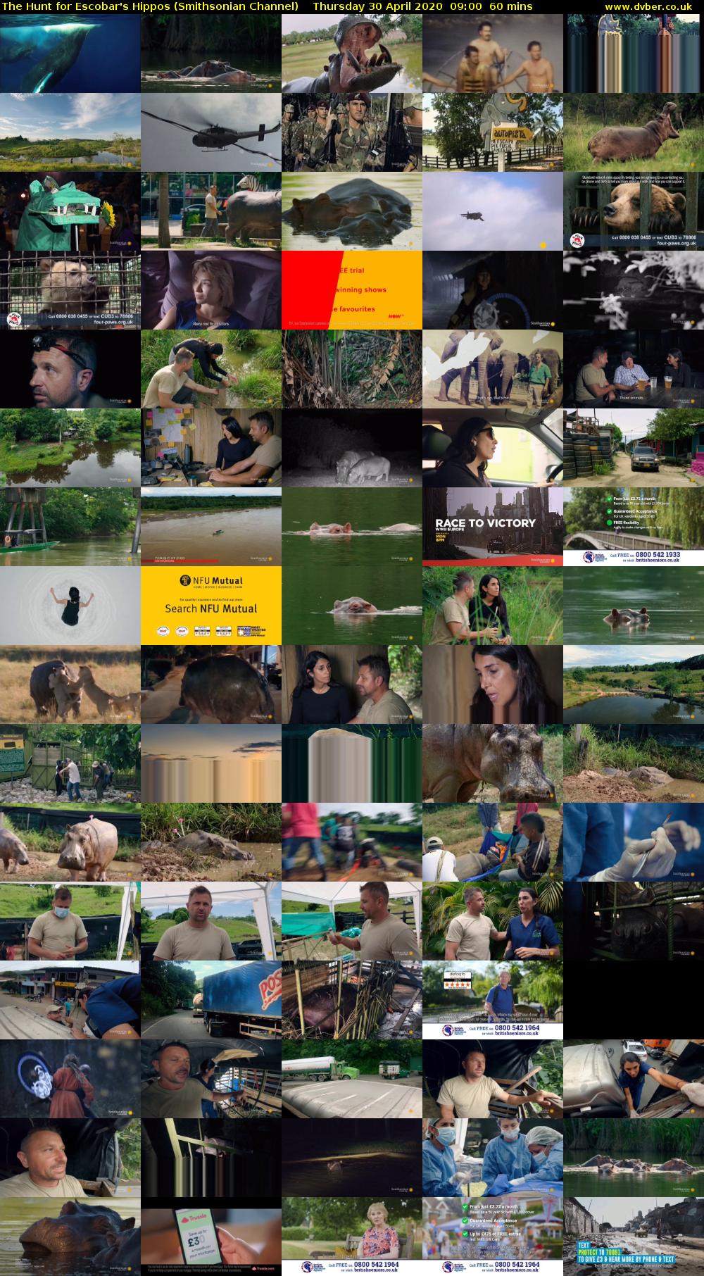 The Hunt for Escobar's Hippos (Smithsonian Channel) Thursday 30 April 2020 09:00 - 10:00