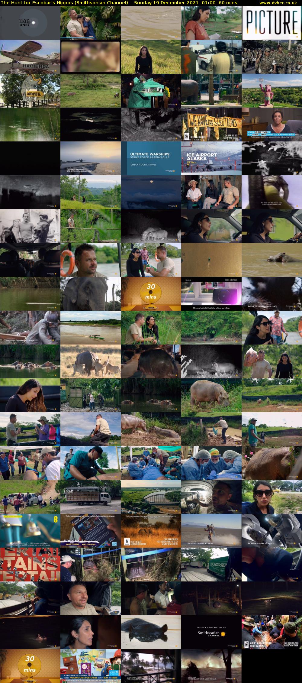 The Hunt for Escobar's Hippos (Smithsonian Channel) Sunday 19 December 2021 01:00 - 02:00