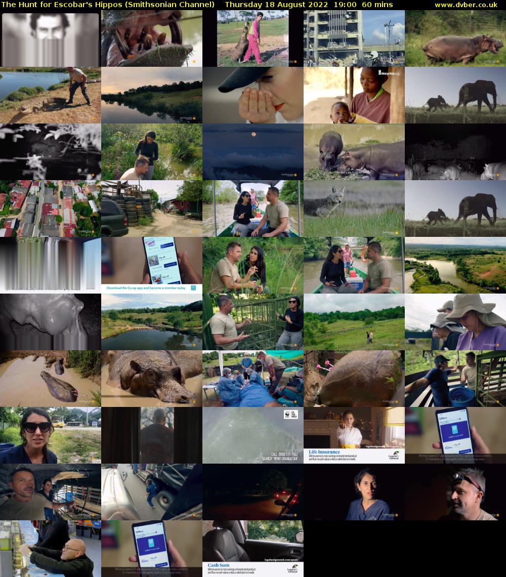 The Hunt for Escobar's Hippos (Smithsonian Channel) Thursday 18 August 2022 19:00 - 20:00