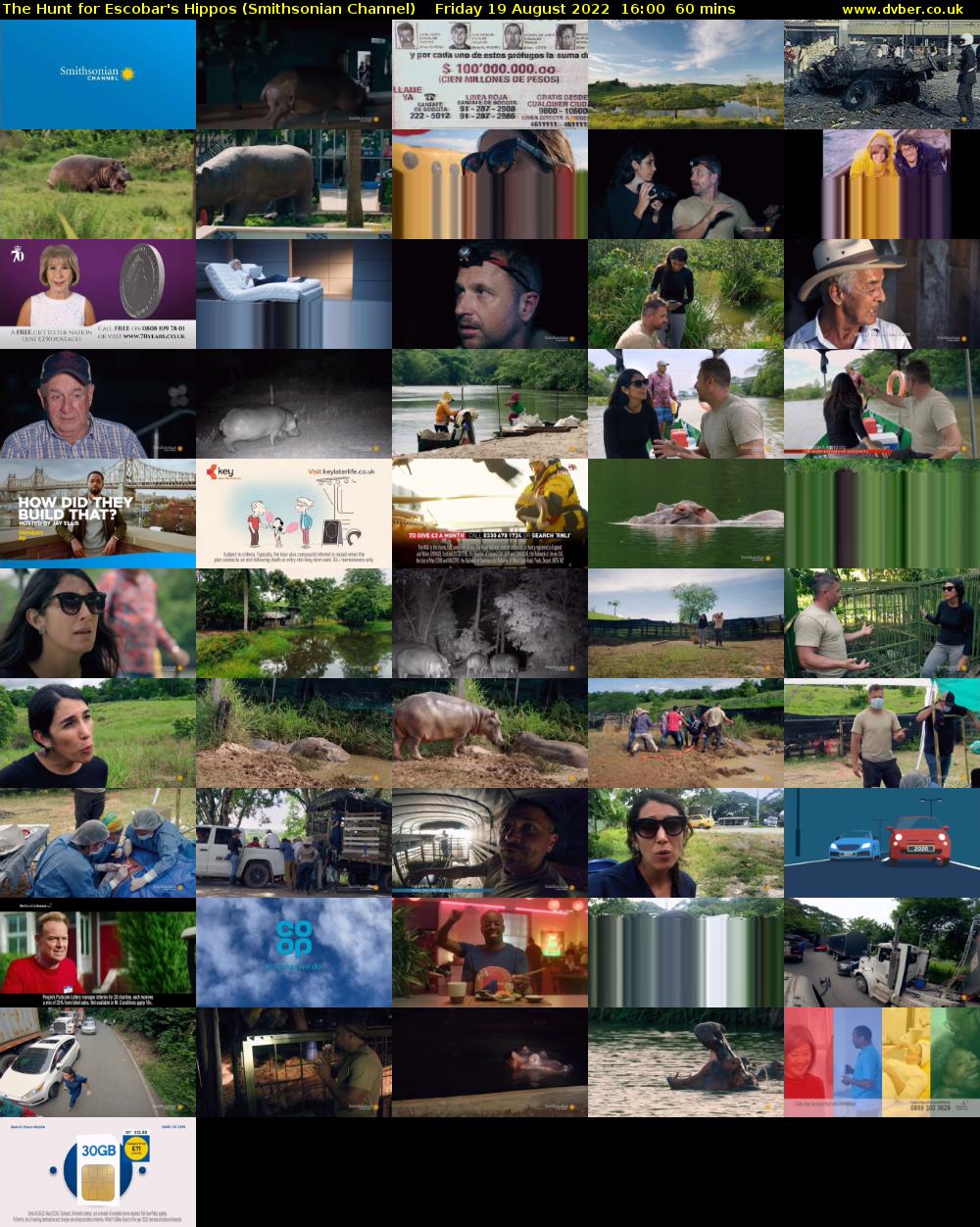The Hunt for Escobar's Hippos (Smithsonian Channel) Friday 19 August 2022 16:00 - 17:00