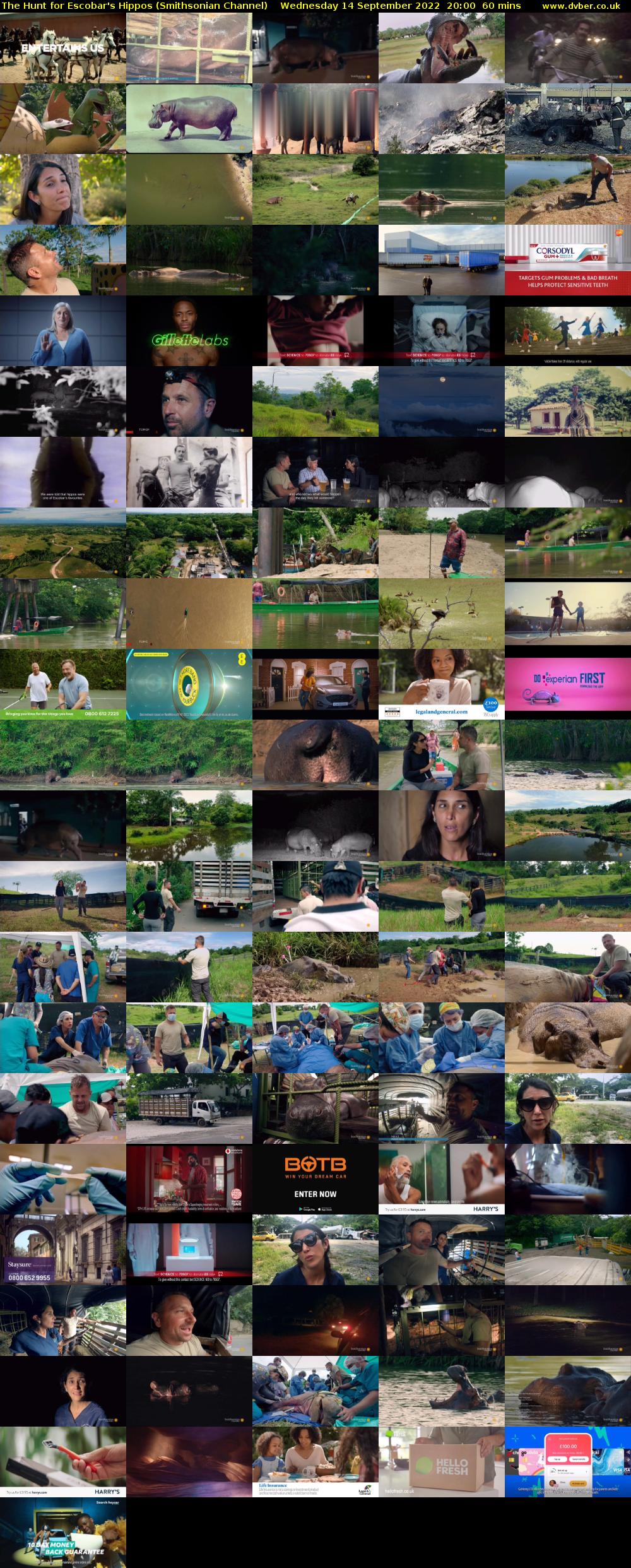 The Hunt for Escobar's Hippos (Smithsonian Channel) Wednesday 14 September 2022 20:00 - 21:00