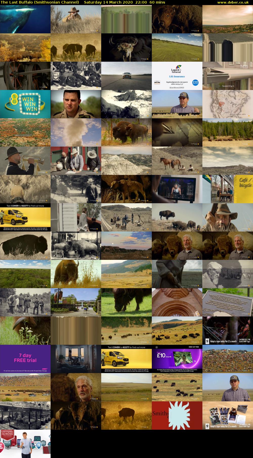 The Last Buffalo (Smithsonian Channel) Saturday 14 March 2020 22:00 - 23:00