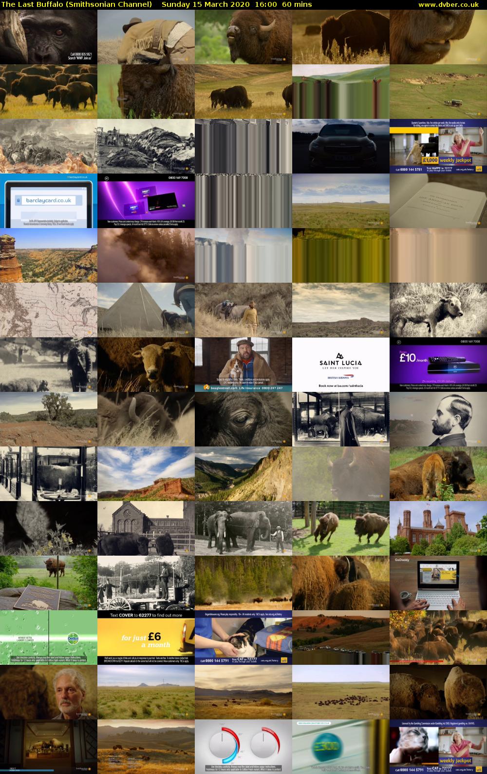 The Last Buffalo (Smithsonian Channel) Sunday 15 March 2020 16:00 - 17:00
