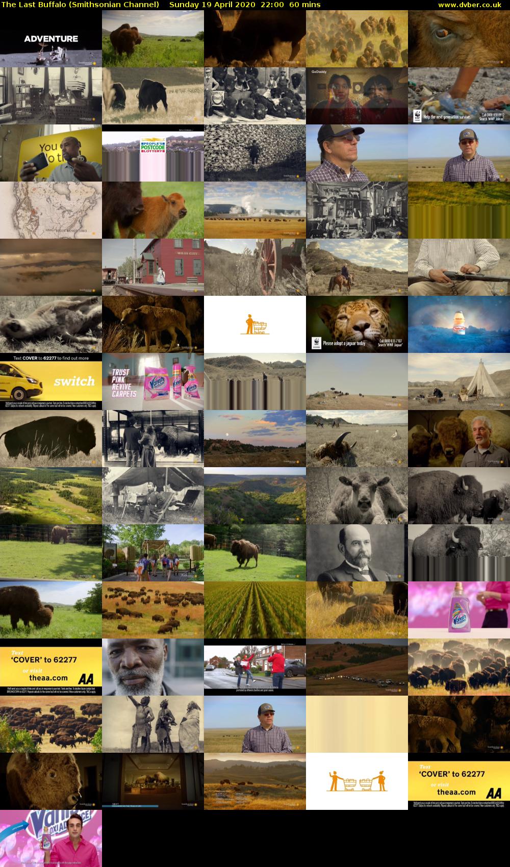 The Last Buffalo (Smithsonian Channel) Sunday 19 April 2020 22:00 - 23:00